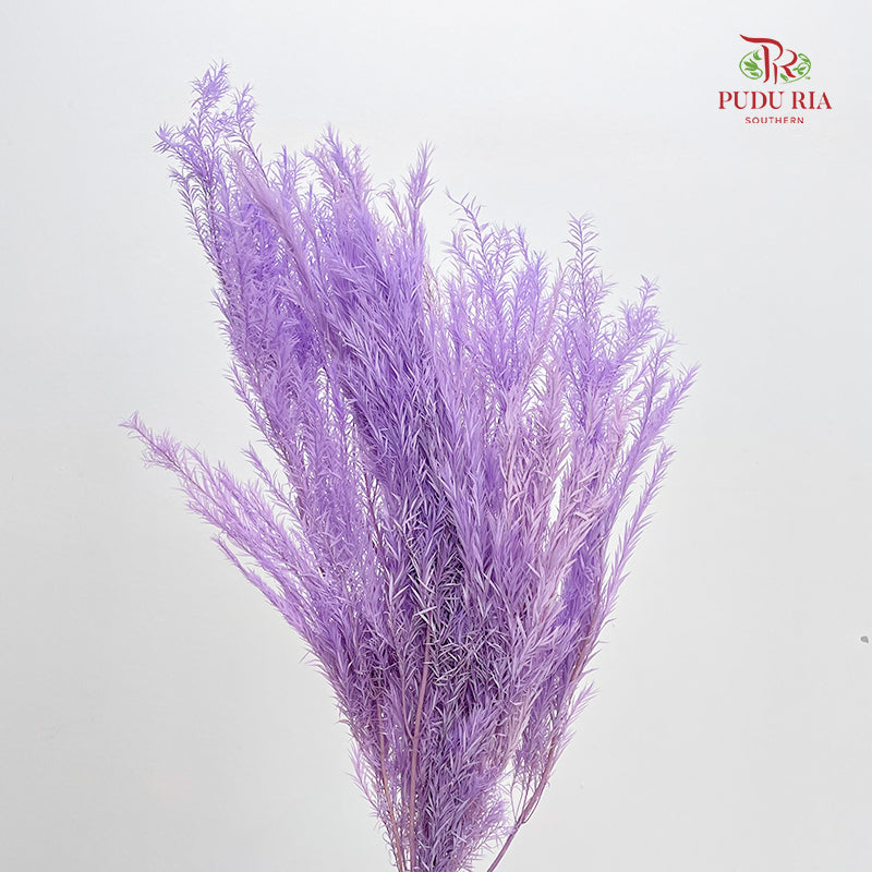 Dry Melaleuca Leaf Purple