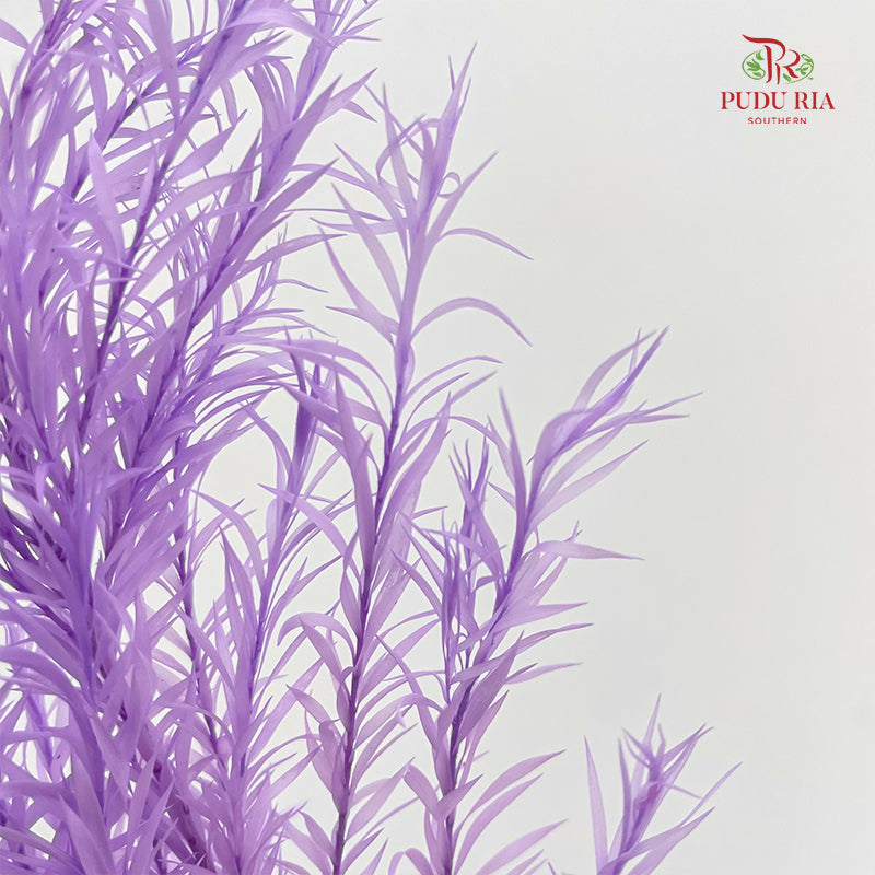 Dry Melaleuca Leaf Purple