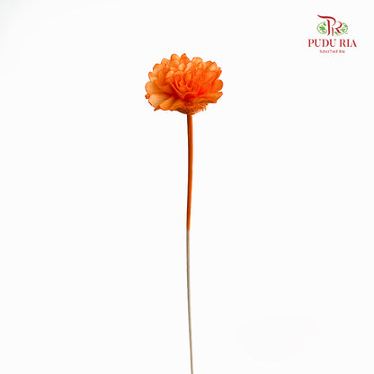 Dry Sola Marigold Orange - 10 Stems