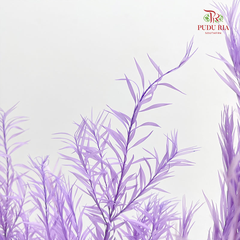Dry Melaleuca Leaf Purple