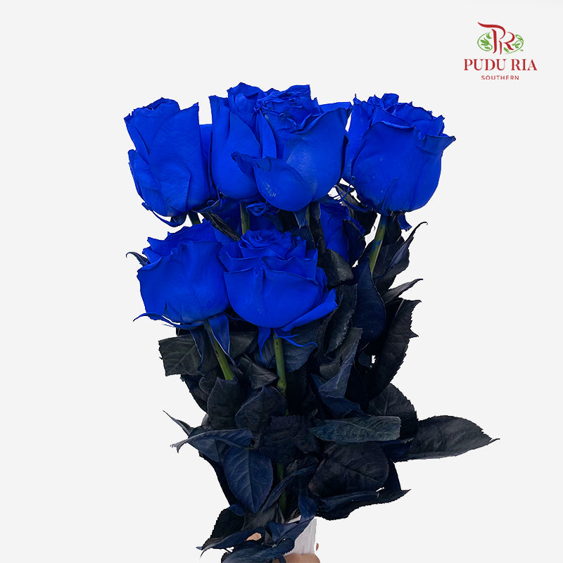 Rose Mondial Dyed Rose - (8-10 Stems)