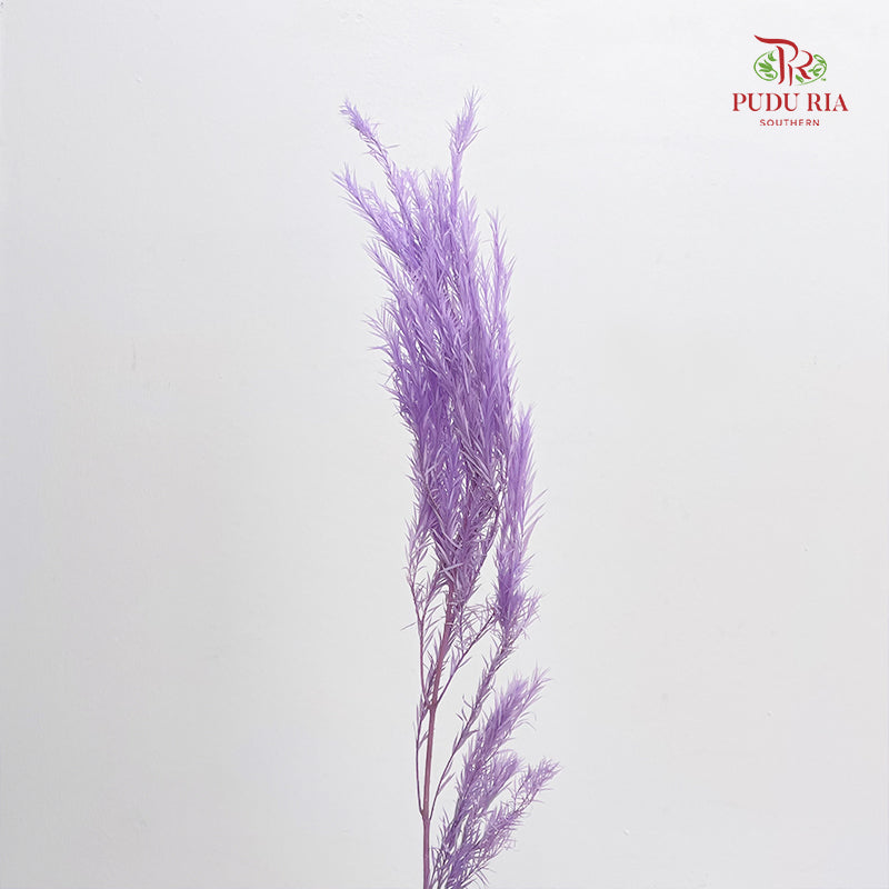 Dry Melaleuca Leaf Purple