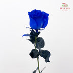 Rose Mondial Dyed Rose - (8-10 Stems)