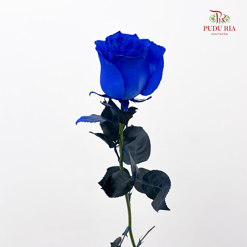 Rose Mondial Dyed Rose - (8-10 Stems)