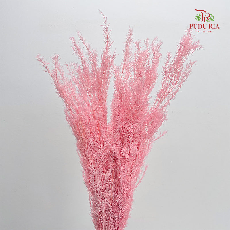 Dry Melaleuca Leaf Pink