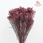 Dry Caspia - Red Wine