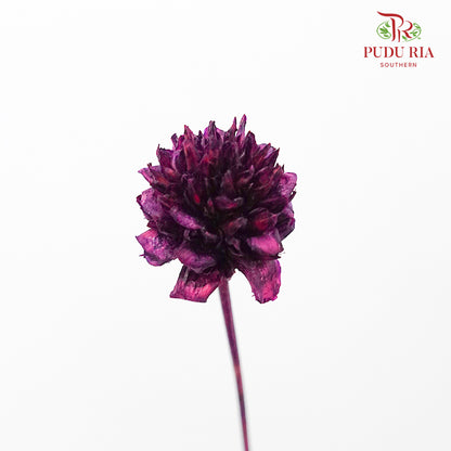 Dry Hill Flower - Purple - Pudu Ria Florist Southern