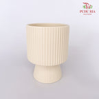 TY-8846 Pot