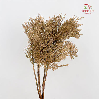 Cedar X mas Dyed Color Gold - (Per Bundle)