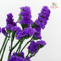 Dry Statice - Purple