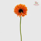 Gerbera Spider Orange - (8-10 Stems)