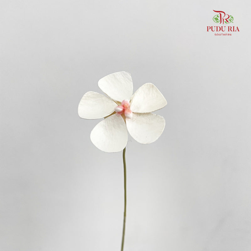 Dry Violet - White Center Pink