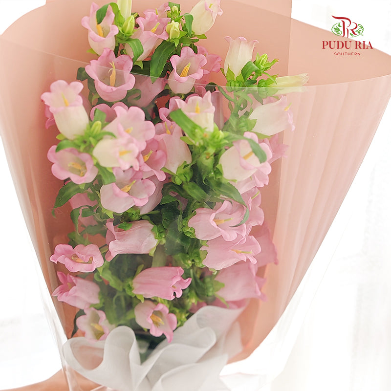 Campanula Bouquet