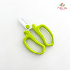Scissors Floral Art Colours