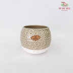 JC-1215-Y8 Pot
