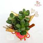 CNY Potted Plant Arrangement 2024#80