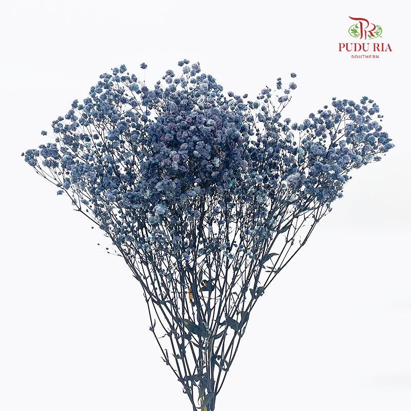 Preservative Baby Breath - Slate Blue