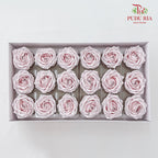 18 Bloom Soap Flowers Black Liner Light Pink - FBA080#3 - Pudu Ria Florist Southern