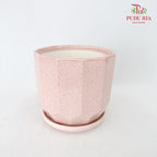 GS12 Pink Pot