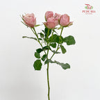 Rose Spray Pink - (8-10 Stems)