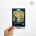 Flowers & Herbs Seeds