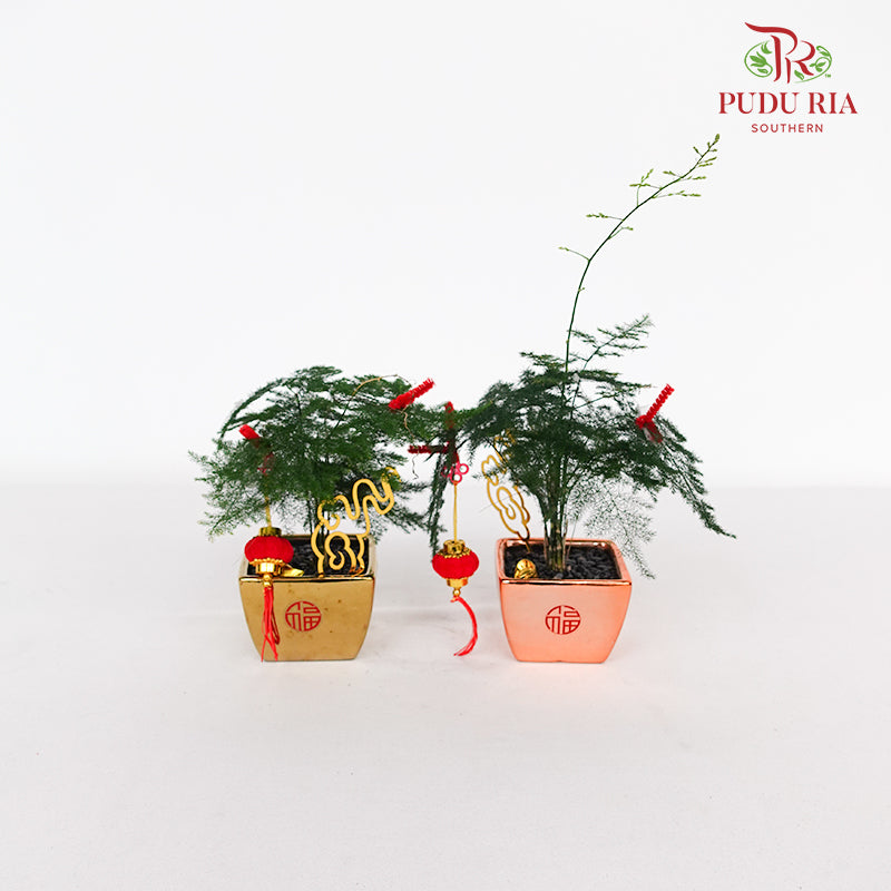 CNY Potted Plant Arrangement 2024#50