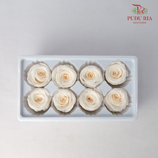 8 Bloom Preservative Rose - Cream - Pudu Ria Florist Southern