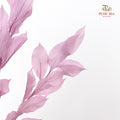 Dry Orange Leaf - Soft Purple