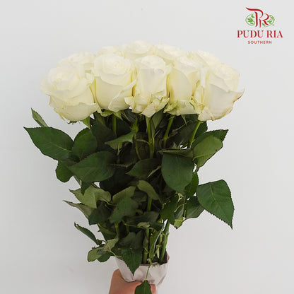 Rose Proud (8-10 Stems)