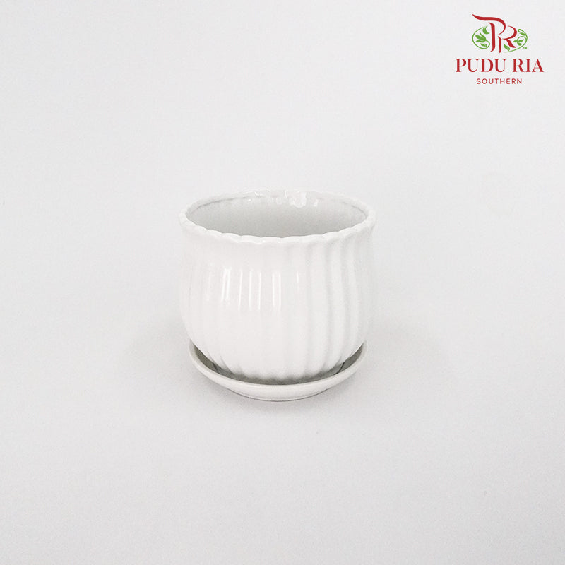 JZ-DW24147 Asst Pot