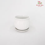 JZ-DW24147 Asst Pot