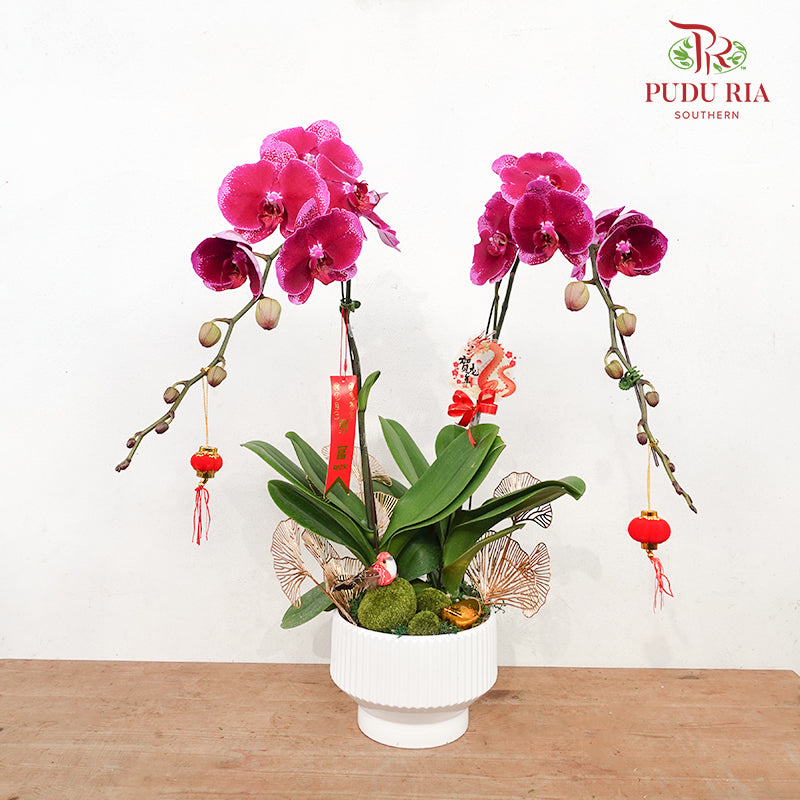 CNY Potted Plant Arrangement 2024#73