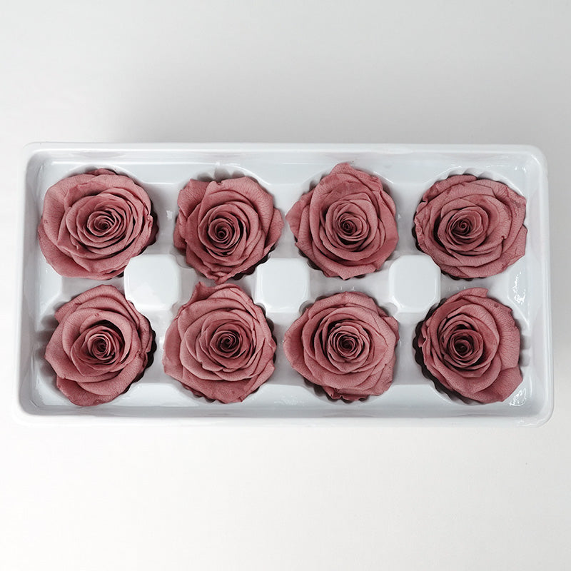 8 Bloom Preservative Rose - Rusty Red - Pudu Ria Florist Southern
