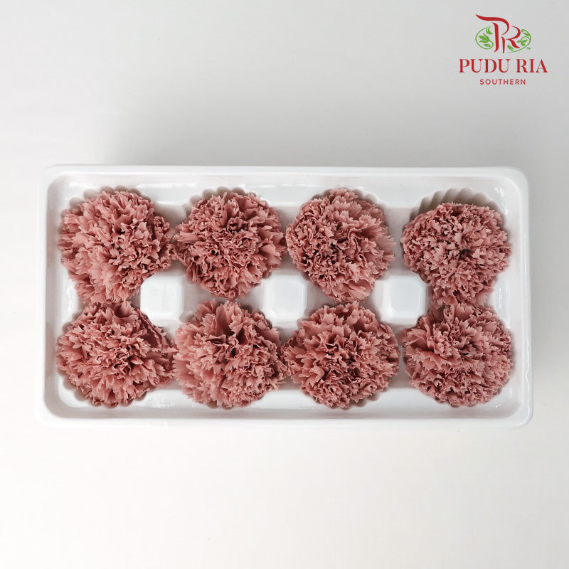 8 Bloom Carnation - Light Brown - Pudu Ria Florist Southern