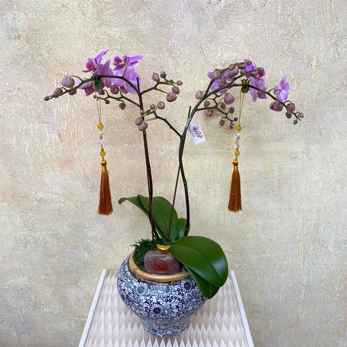 CNY Phalaenopsis Arrangement 2025 #8