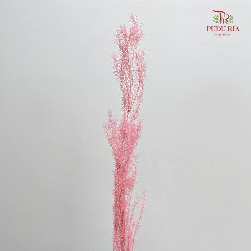Dry Melaleuca Leaf Pink
