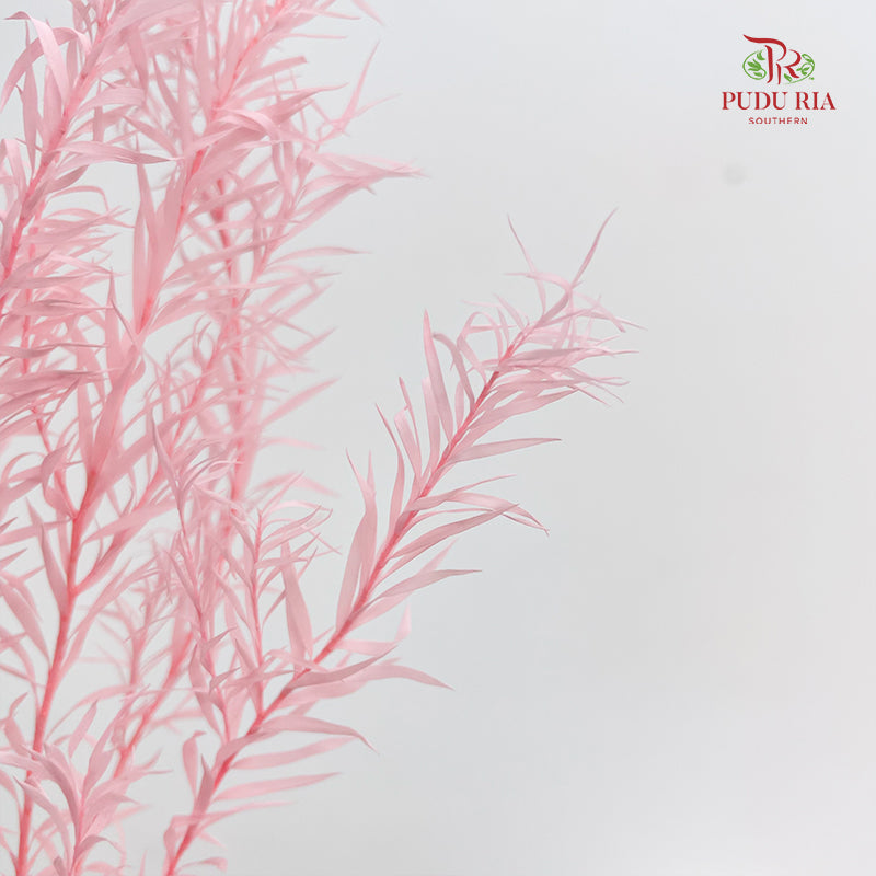 Dry Melaleuca Leaf Pink
