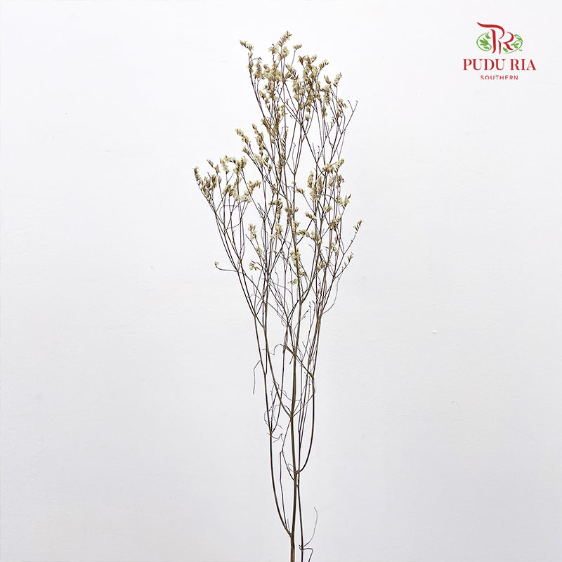 Dry Flower Caspia - Yellow