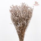 Dry Flower Caspia - Natural