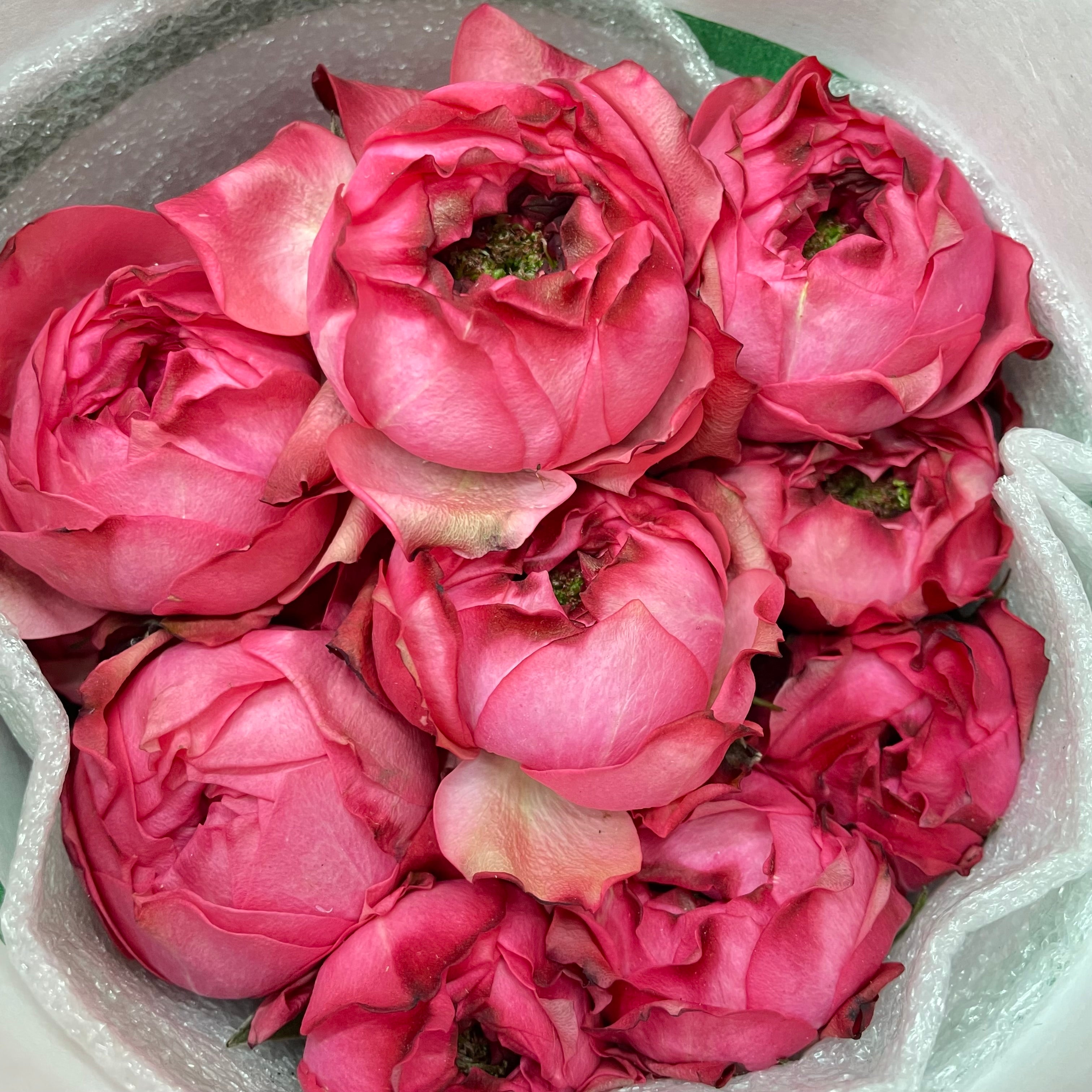 Rose Spray Julietta Raspberr - (6 Stems)