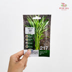 Vegetable & Fruit Seeds