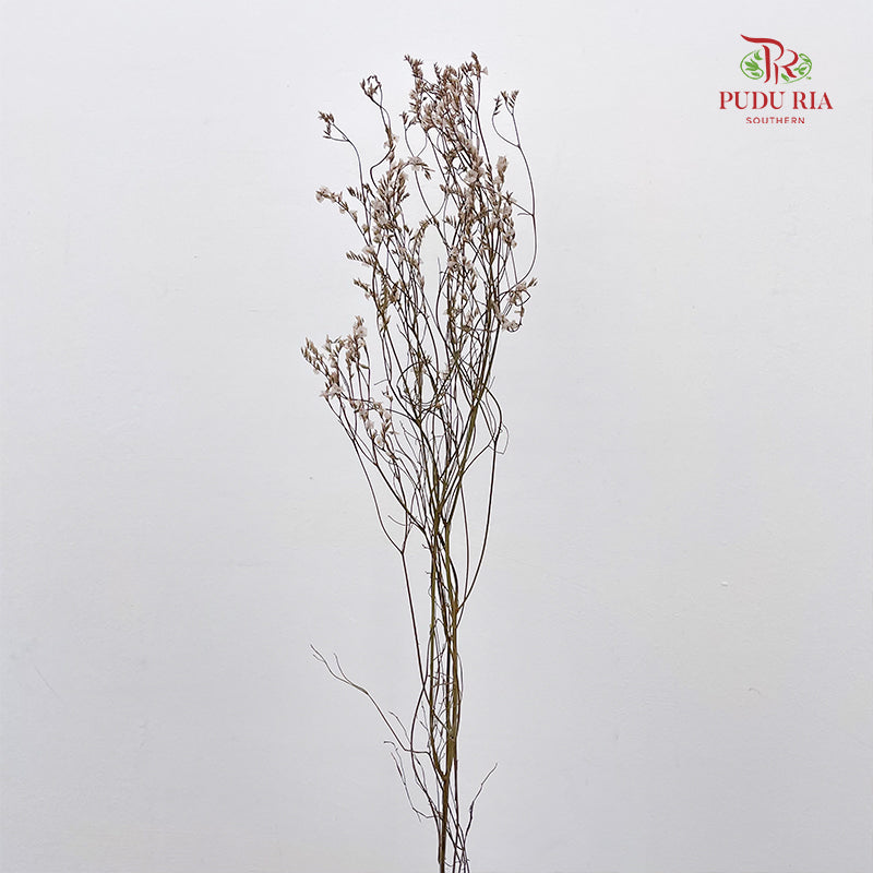 Dry Flower Caspia - Natural
