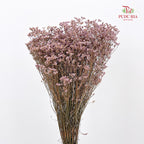 Dry Flower Caspia - Pink