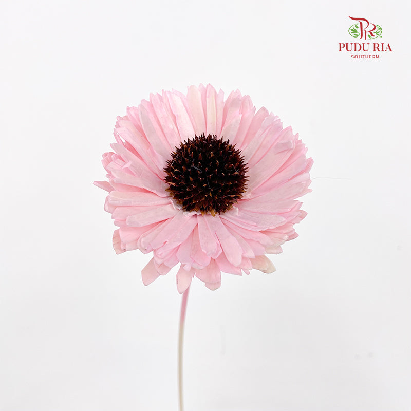 Dry Sola Sunflower Pink - Per Stem