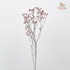 Dry Flower Caspia - Pink