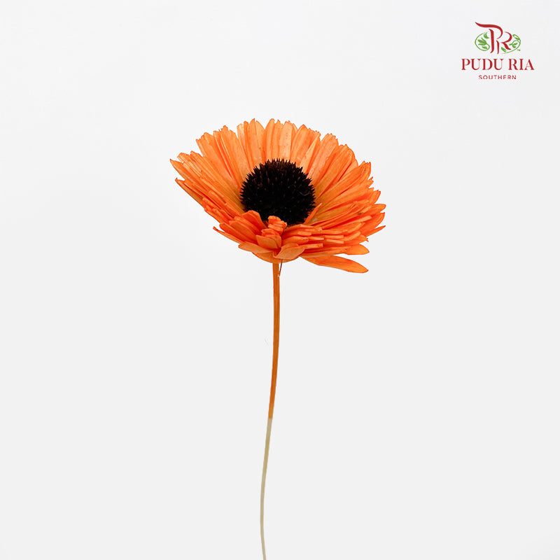 Dry Sola Sunflower Orange - Per Stem