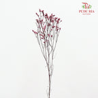 Dry Caspia - Red Wine