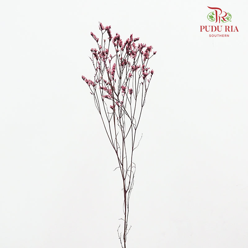 Dry Caspia - Red Wine