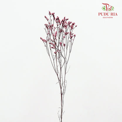 Dry Caspia - Red Wine