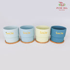 HS-0012 Asst Colours Pot